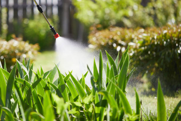 24/7 Emergency Mosquito Control experts in Cando, ND